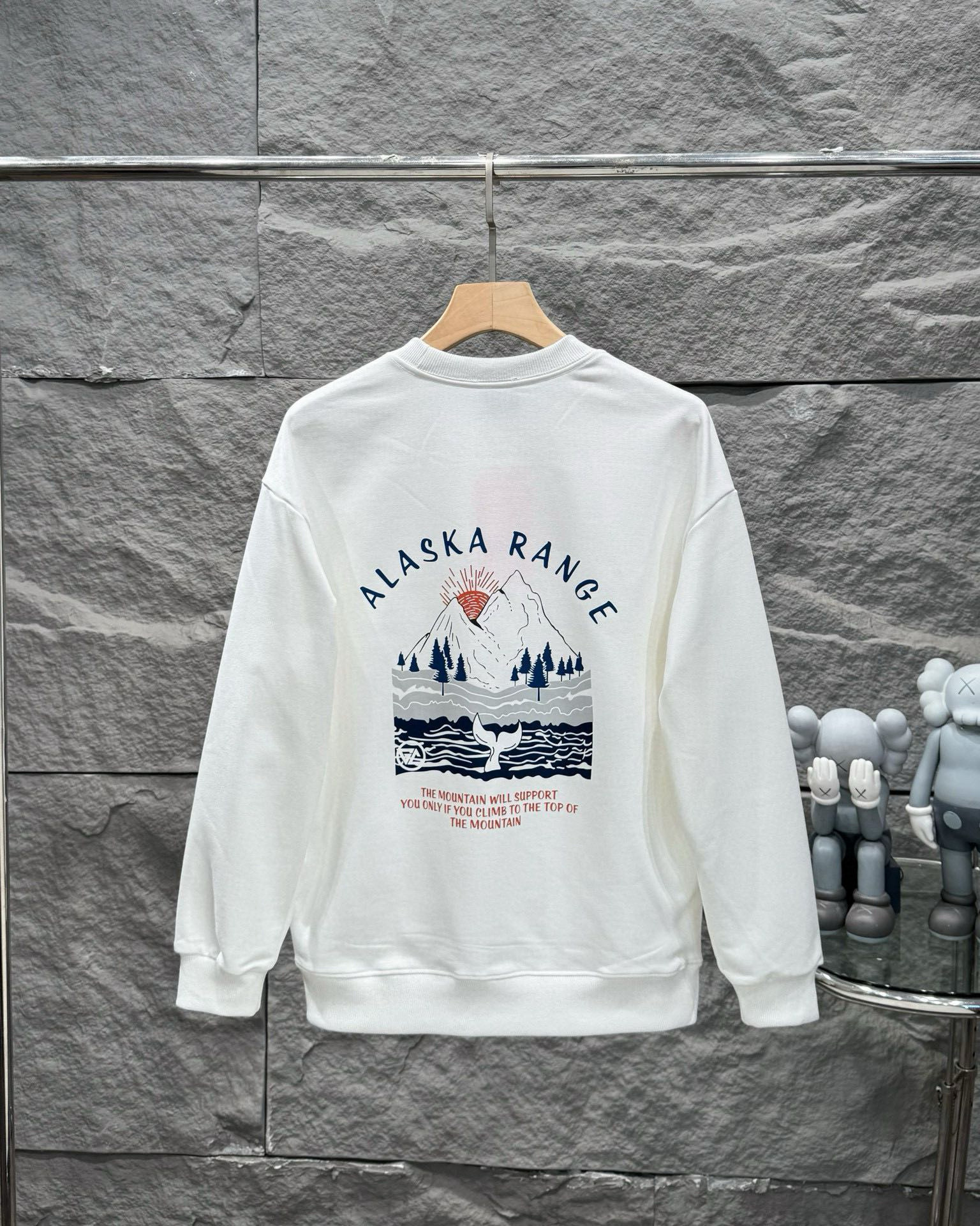 The North Face Hoodie — 43a41ee4 angle 1