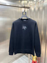 Arc'teryx Hoodie — 2837311b