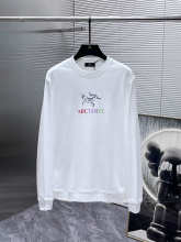 Arc'teryx Hoodie — 5bec6450