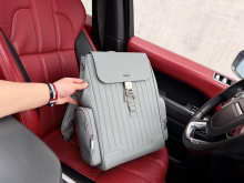 Designer Bags Backpack — 482