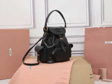 Designer Bags Backpack — Z043-1