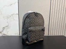 Designer Bags Coach — 491
