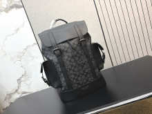 Designer Bags Coach — 496