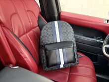 Designer Bags Coach — 499