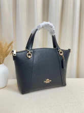 Designer Bags Coach — c6229-1