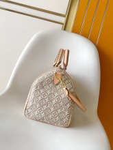 Designer Bags Louis Vuitton — M28479-1
