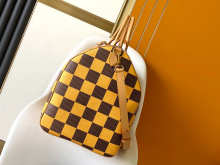 Designer Bags Louis Vuitton — N40578-1
