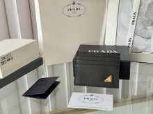 Designer Bags Prada — C223-1