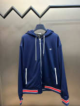 Celine Hoodie — d51fb308
