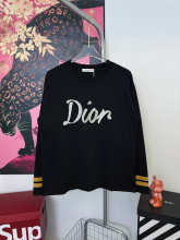 Dior Hoodie — 102247af