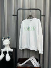Dior Hoodie — 73101289