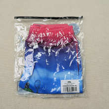 Eric Emanuel Shorts — x Warren Lotas lll Multicolor