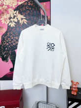 Loewe Hoodie — fe1d92a3