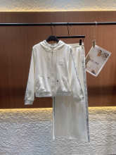 Miu Miu Hoodie — 1df39ae5