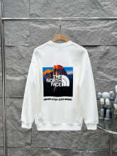 The North Face Hoodie — 2fa83319