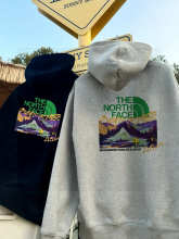 The North Face Hoodie — 67cec546