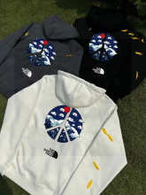 The North Face Hoodie — a0176e62
