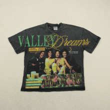 Valley T-Shirt — T-shirt
